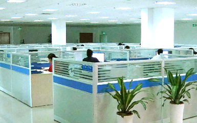 河南雙誠技術部增添綠植，提升辦公環境